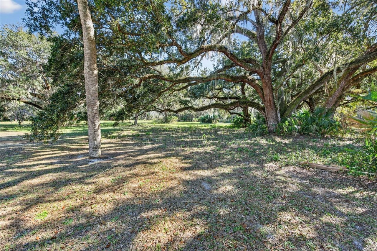 4365 Burkholm, Mims, FL 32754 Photo