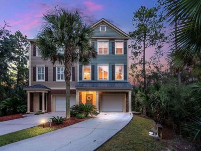 164 Palm Cove Way, Mount Pleasant, SC 29466