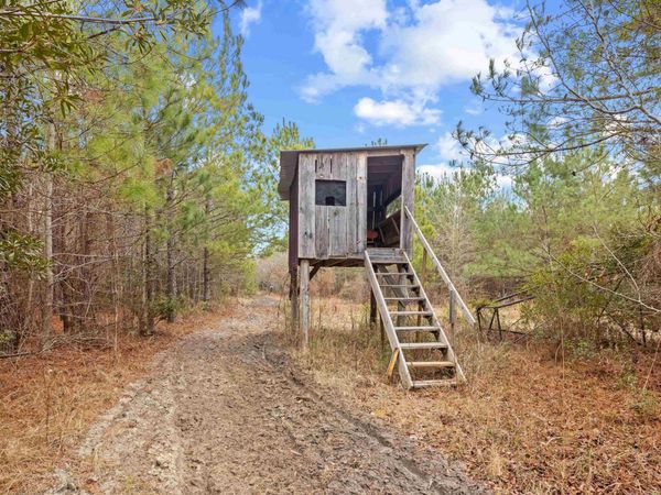 TBD 183 Acres Blakely Rd., Salters, SC 29590