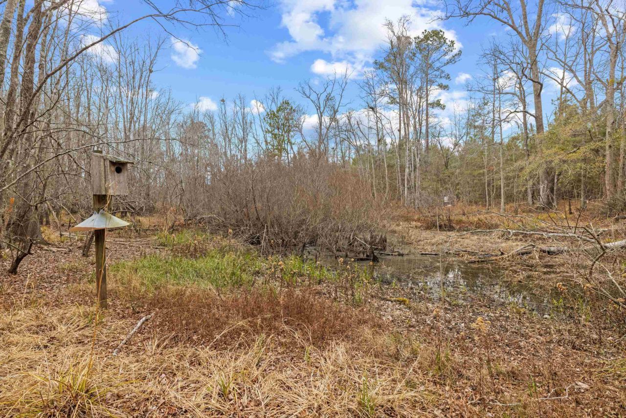 Tbd 183 Acres Blakely Rd. Photo 13