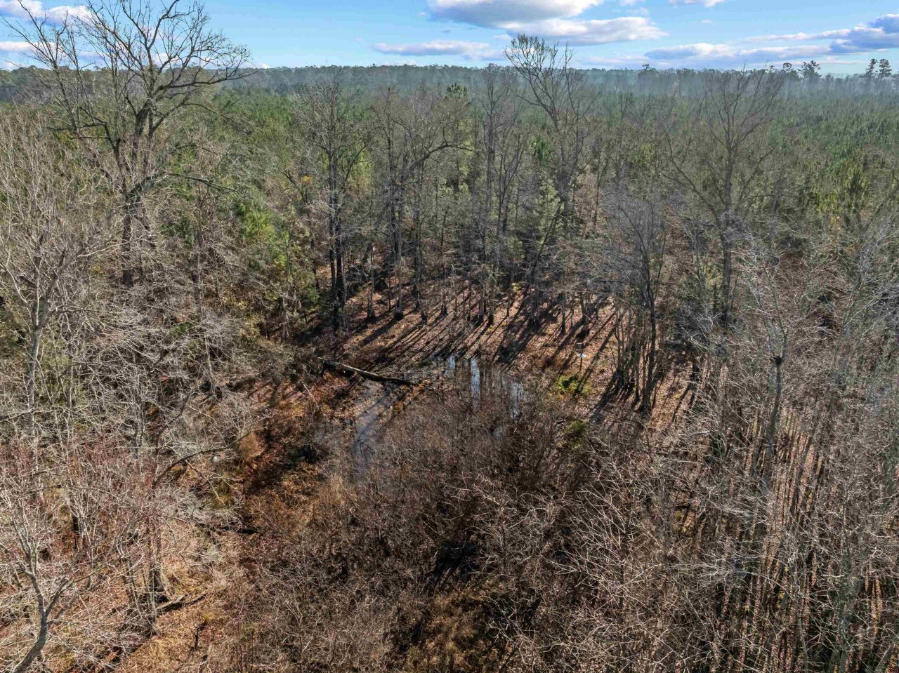 Tbd 183 Acres Blakely Rd. Photo 14