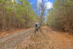 Tbd 183 Acres Blakely Rd. photo 4