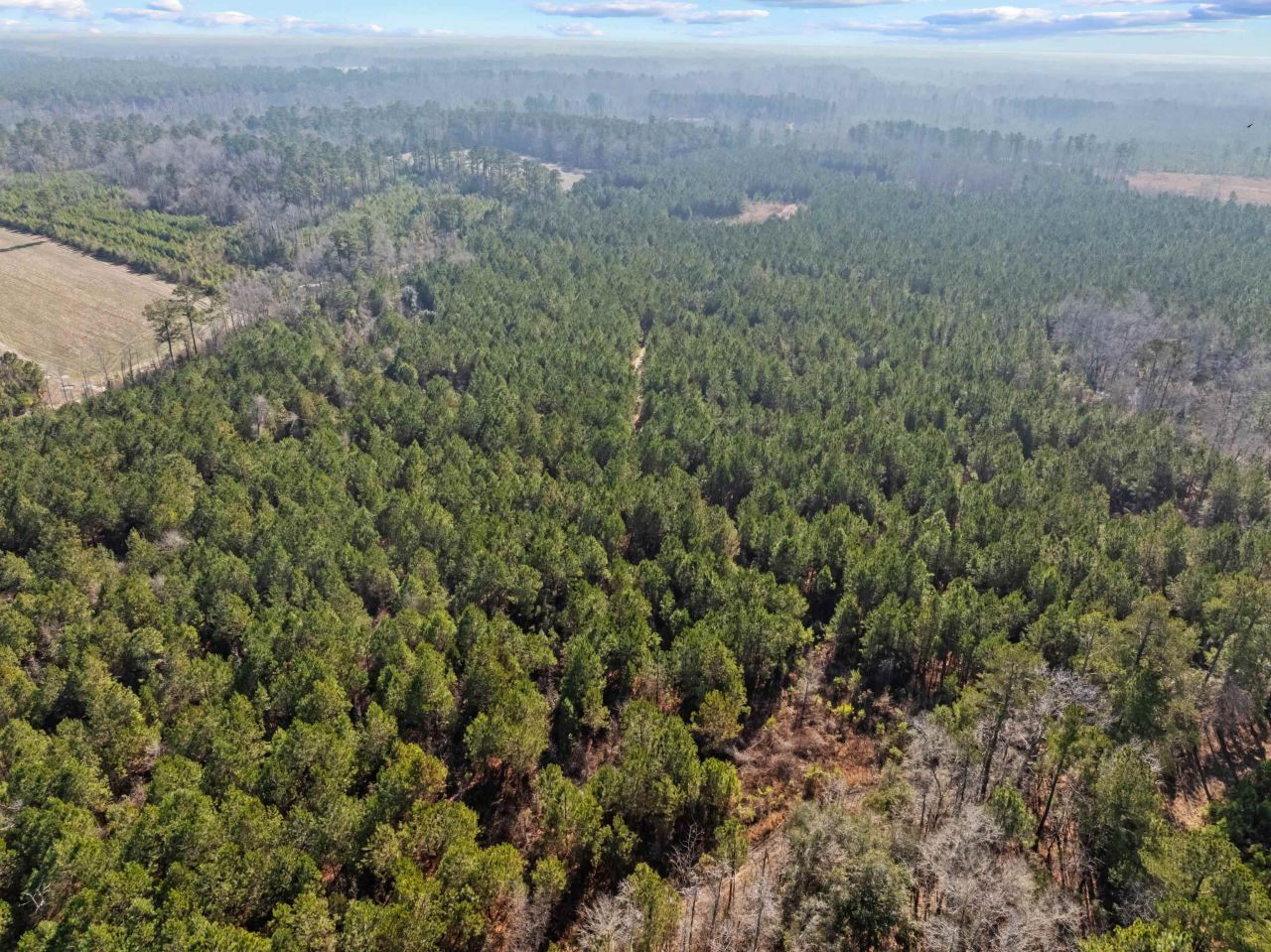 Tbd 183 Acres Blakely Rd. Photo 37