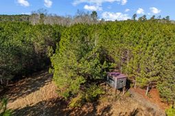 Tbd 183 Acres Blakely Rd. photo 4