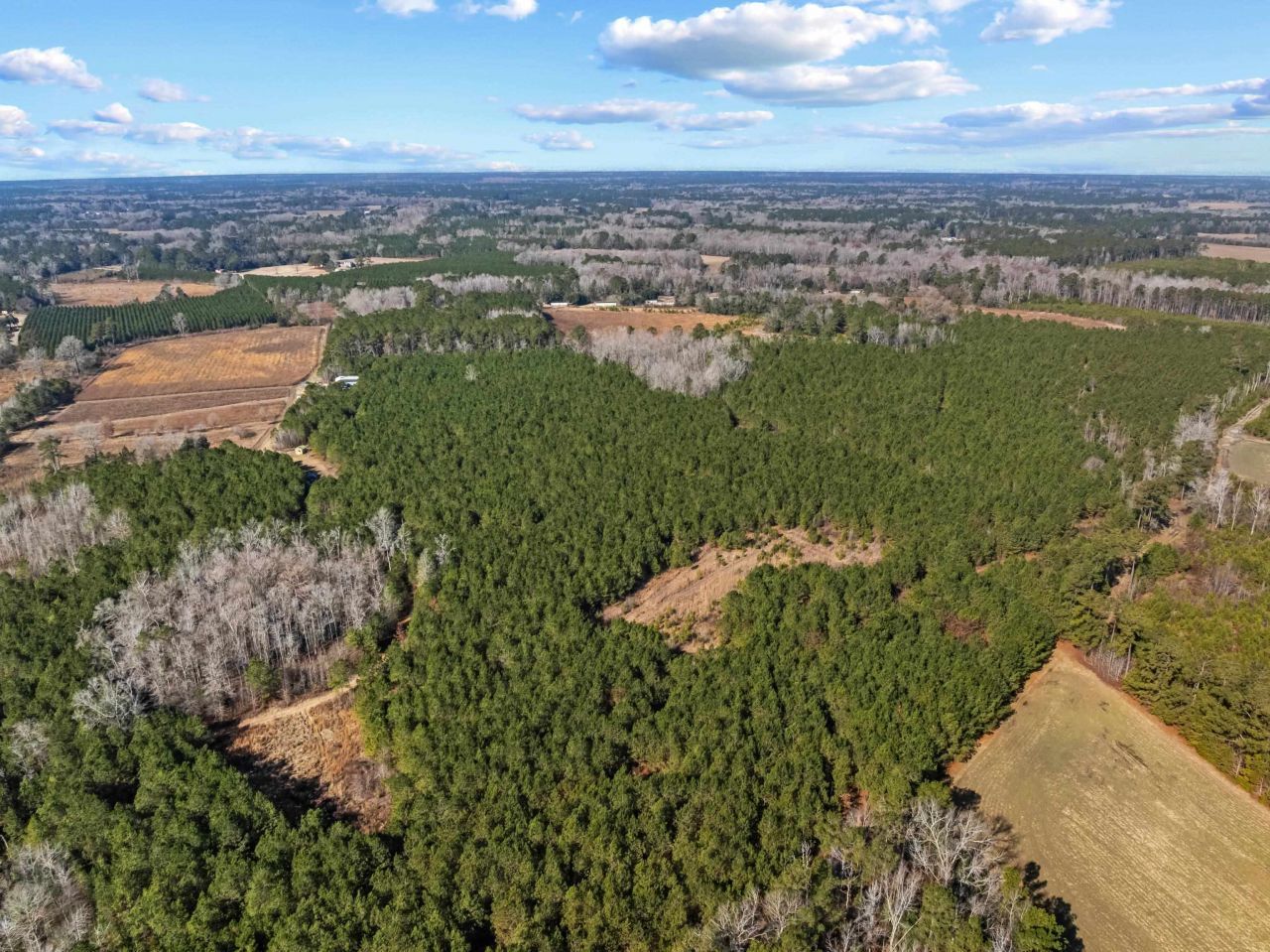 Tbd 183 Acres Blakely Rd. Photo 5