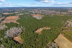 Tbd 183 Acres Blakely Rd. photo 4