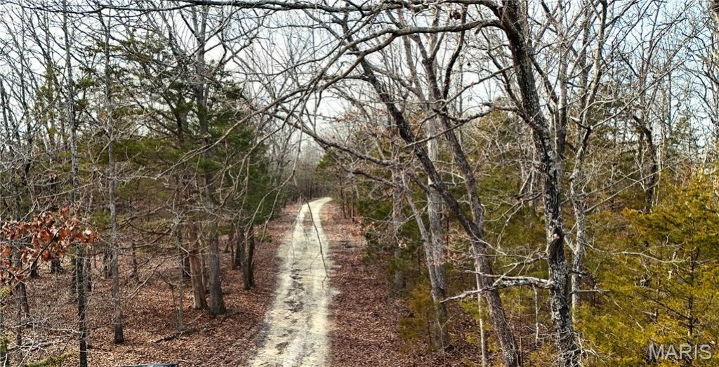 0001 Tar Blue Lane, Dittmer, MO 63023 Main Photo