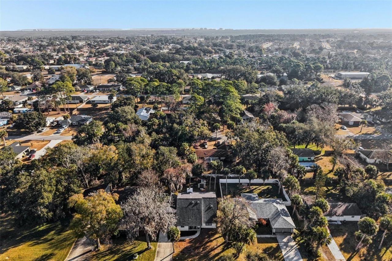 2309 Kumquat Drive, Edgewater, FL 32141 Photo