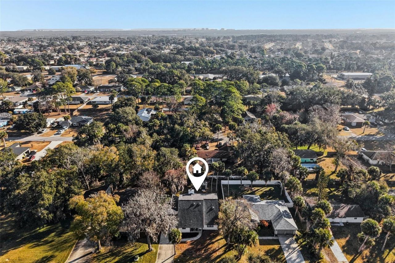 2309 Kumquat Drive, Edgewater, FL 32141 Photo