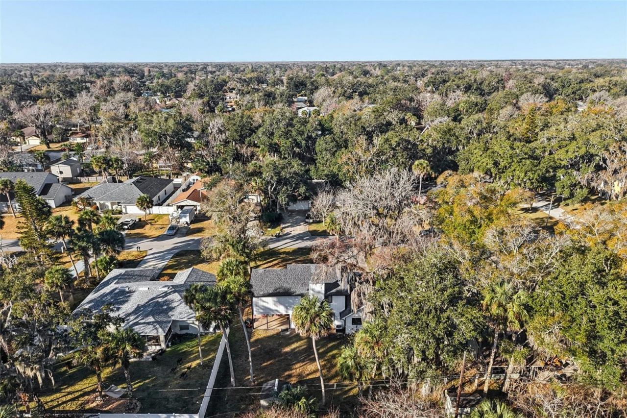 2309 Kumquat Drive, Edgewater, FL 32141 Photo