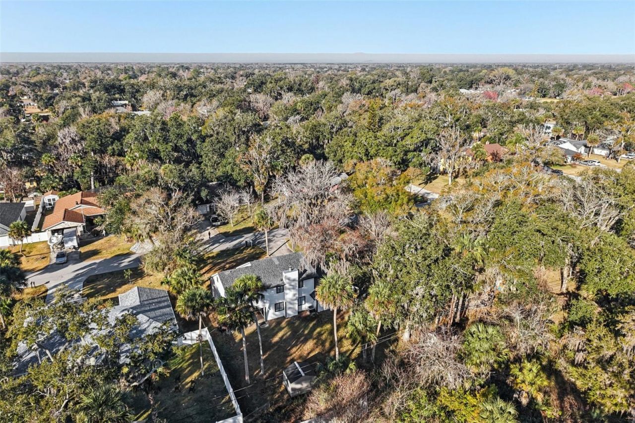 2309 Kumquat Drive, Edgewater, FL 32141 Photo