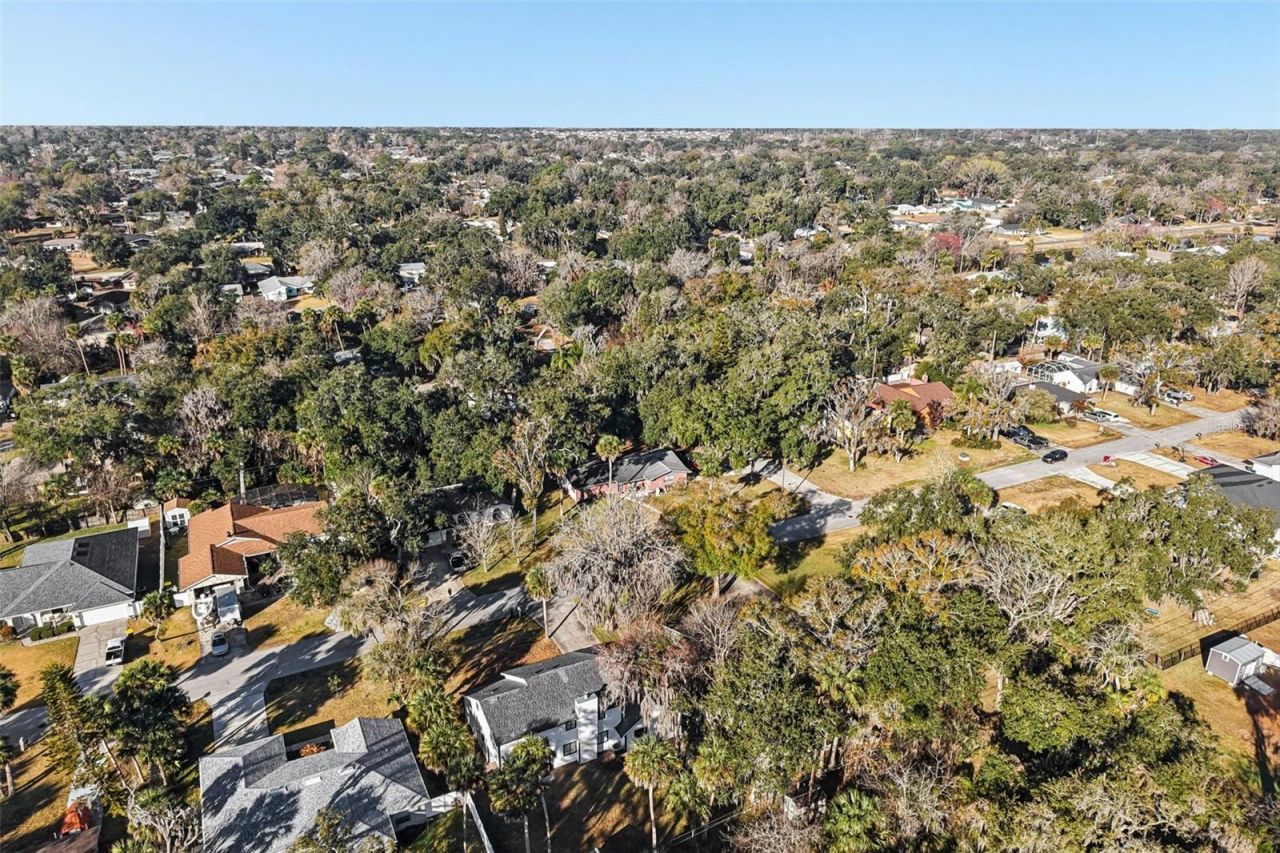 2309 Kumquat Drive, Edgewater, FL 32141 Photo