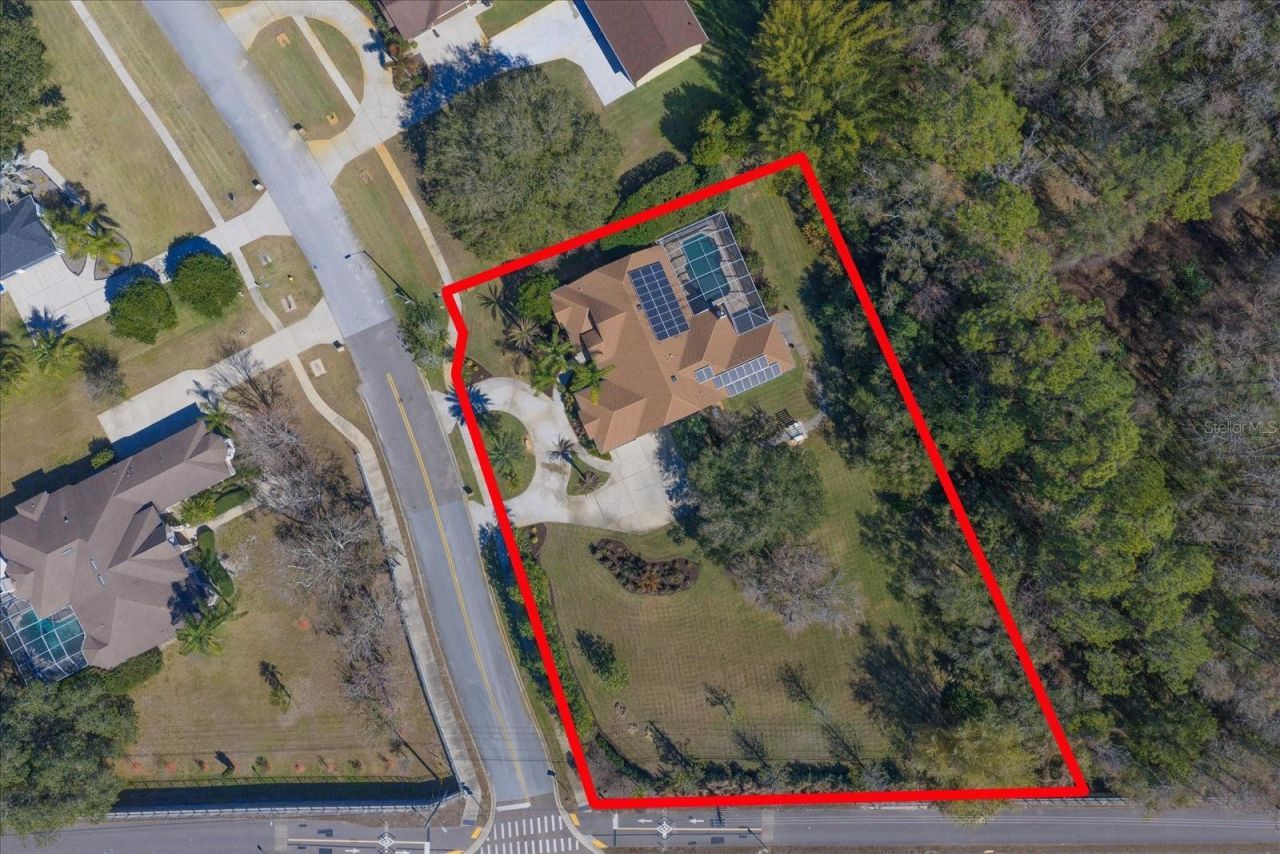 103 Silver Moss Lane, Tarpon Springs, FL 34688 Photo