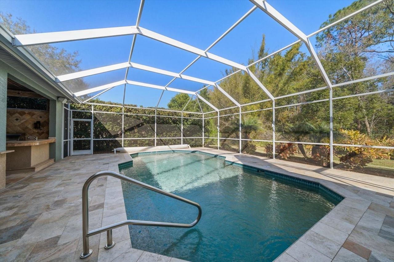 103 Silver Moss Lane, Tarpon Springs, FL 34688 Photo