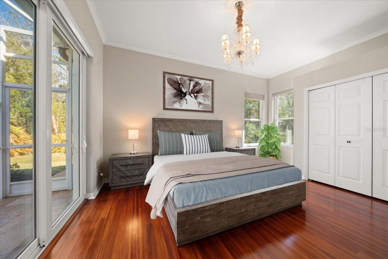 103 Silver Moss Lane, Tarpon Springs, FL 34688 Photo