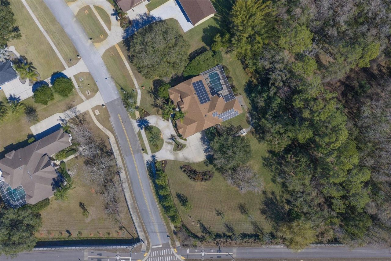 103 Silver Moss Lane, Tarpon Springs, FL 34688 Photo