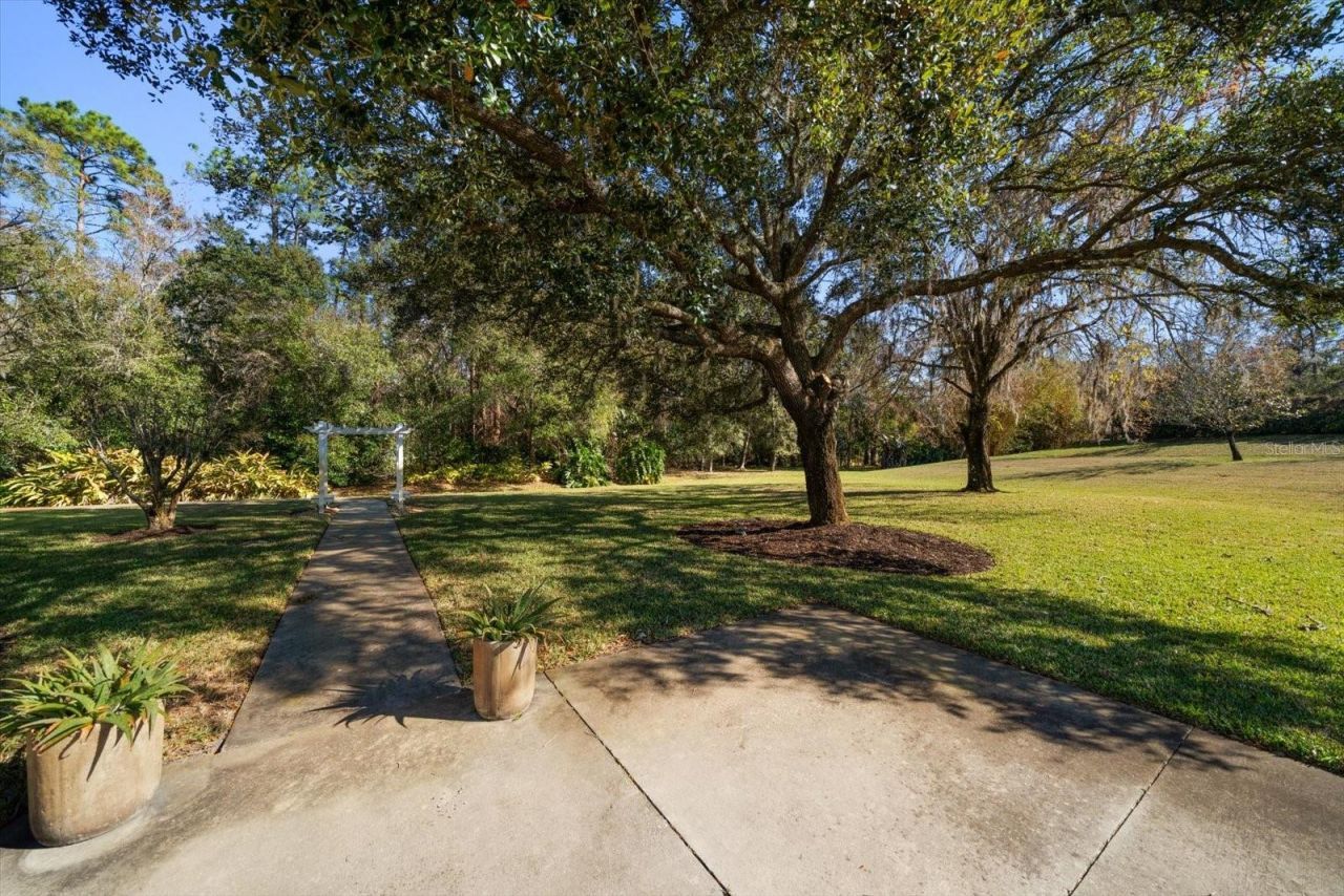 103 Silver Moss Lane, Tarpon Springs, FL 34688 Photo