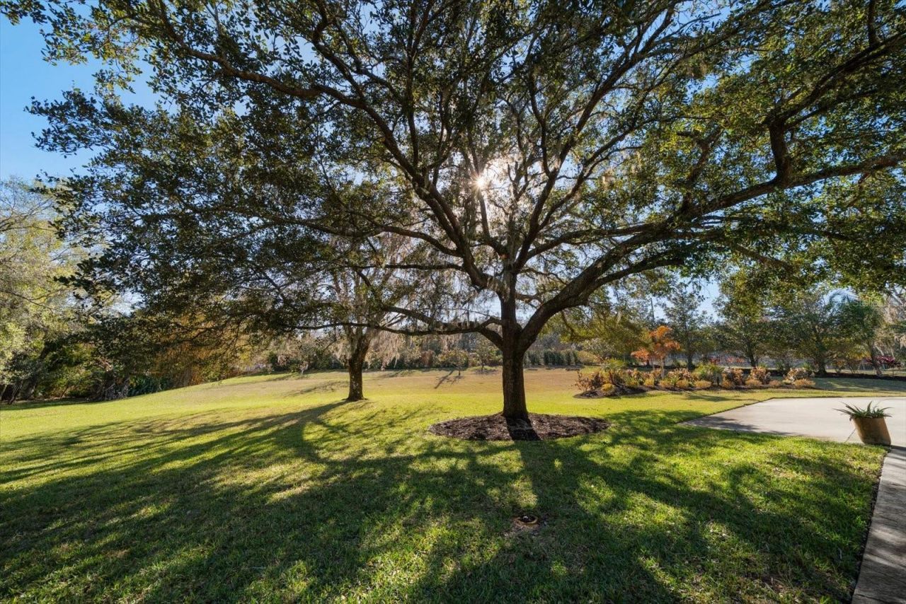 103 Silver Moss Lane, Tarpon Springs, FL 34688 Photo