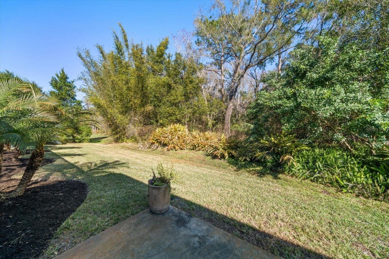 103 Silver Moss Lane, Tarpon Springs, FL 34688 Photo