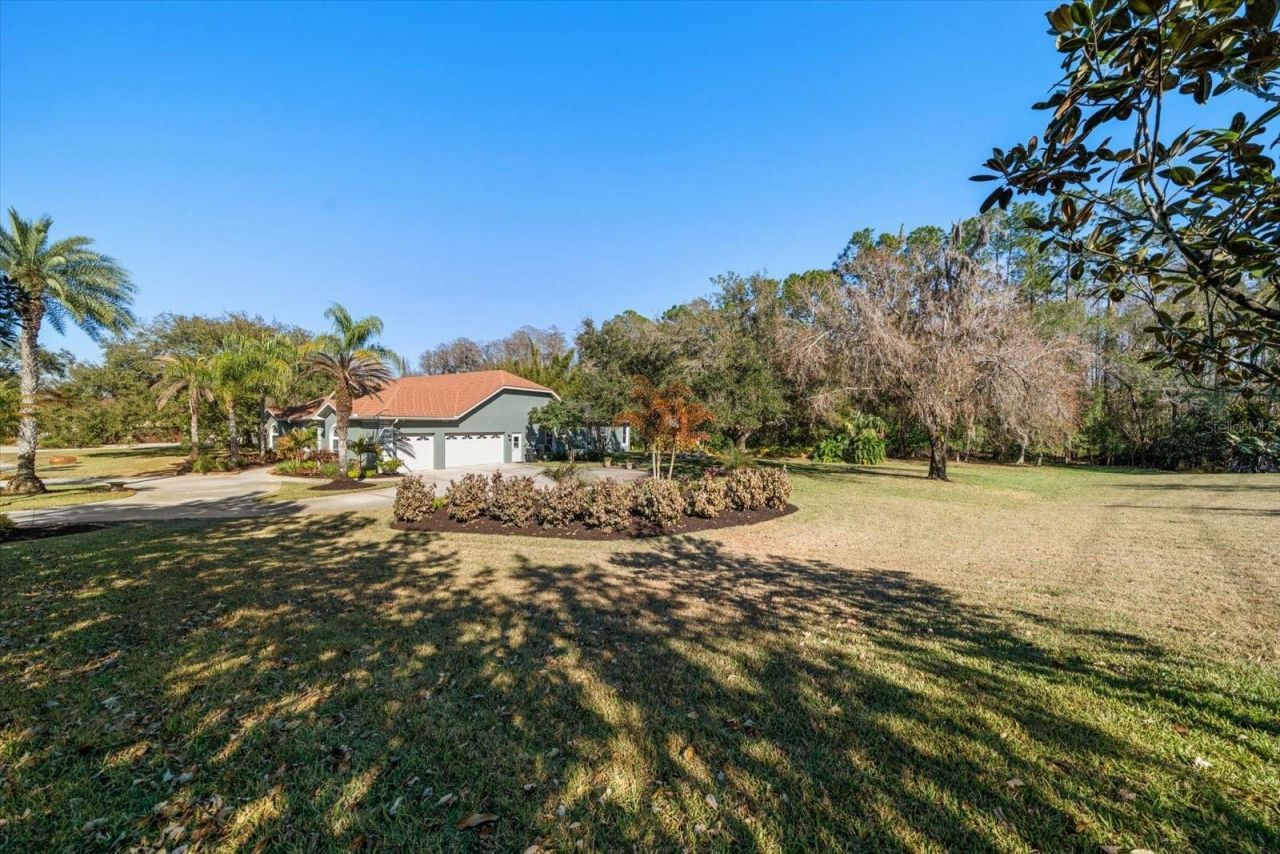 103 Silver Moss Lane, Tarpon Springs, FL 34688 Photo