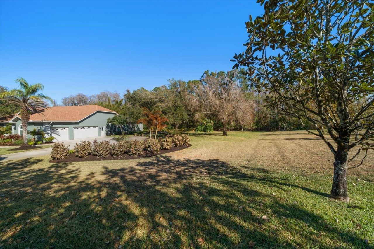 103 Silver Moss Lane, Tarpon Springs, FL 34688 Photo