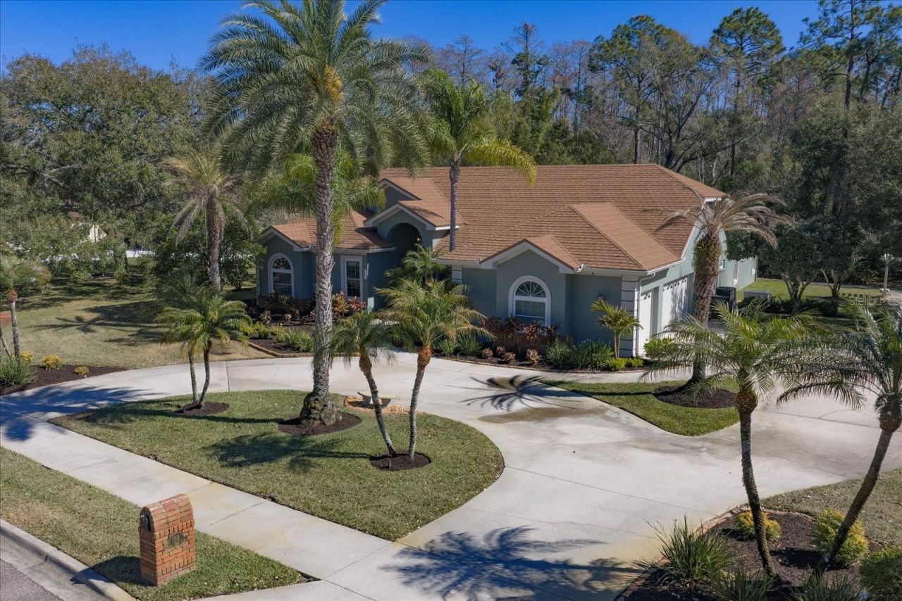 103 Silver Moss Lane, Tarpon Springs, FL 34688 Photo