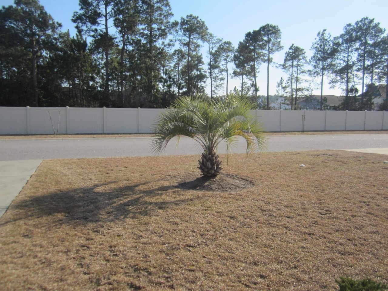 256 Legends Village Loop Photo 36