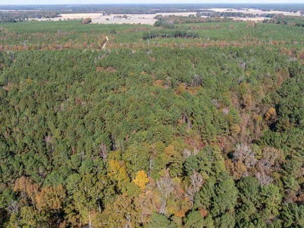 J C Prestage Road, Pelahatchie, MS 39145