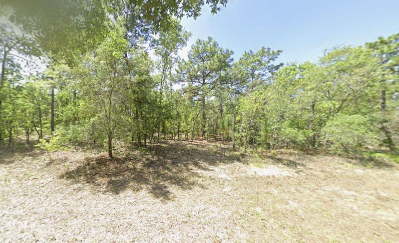 126 Oak Village Boulevard S, Homosassa, FL 34446 Main Photo