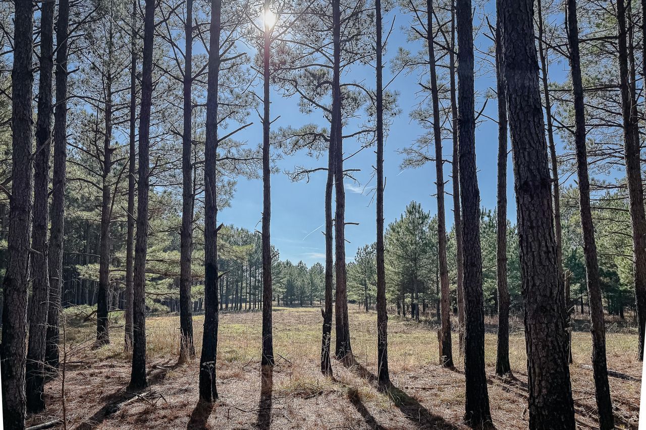 0 Leeds Road Photo 13