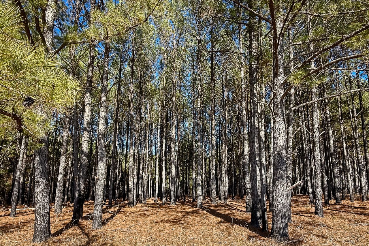 0 Leeds Road Photo 23