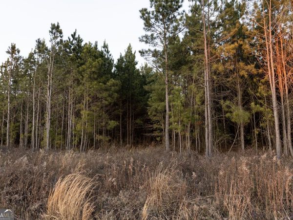 0 Highway 26, Montrose, GA 31065