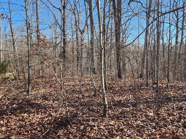 000 Dixie Ln, Holladay, TN 38341