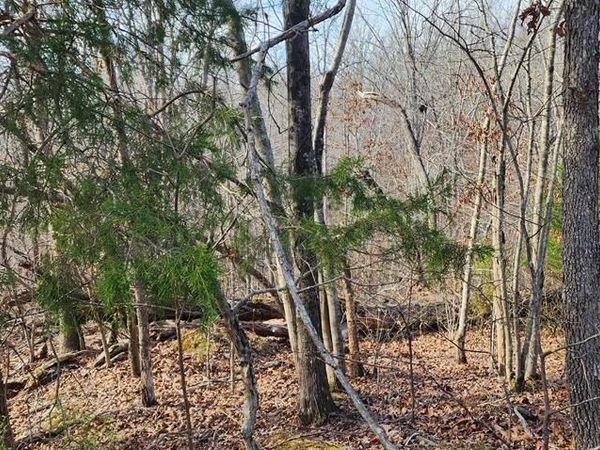 000 Magnolia Ln, Holladay, TN 38341