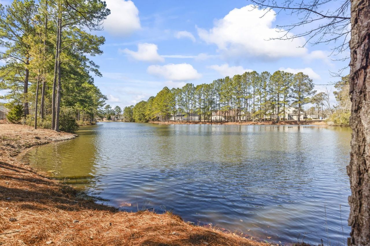 818 Foxtail Dr. Photo 29