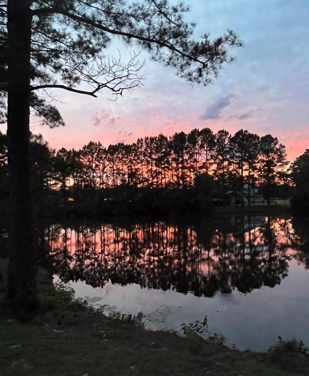 818 Foxtail Dr. Photo 32