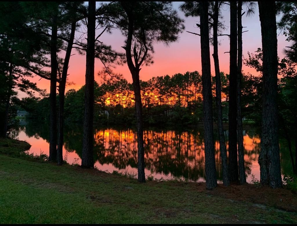 818 Foxtail Dr. Photo 33