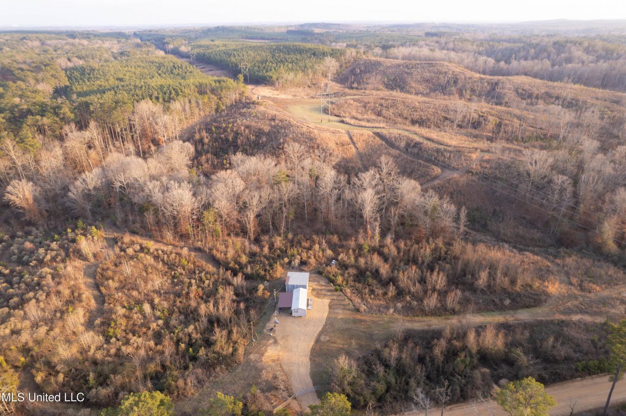 Off County Road 4101, Sallis, MS 39160 Main Photo