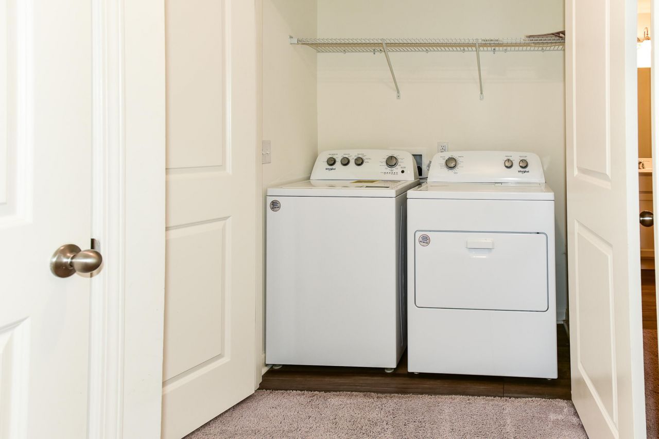 205 Trumpet Vine Drive Photo 19