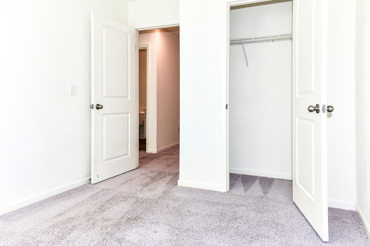 205 Trumpet Vine Drive Photo 24