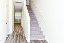 205 Trumpet Vine Drive photo 4