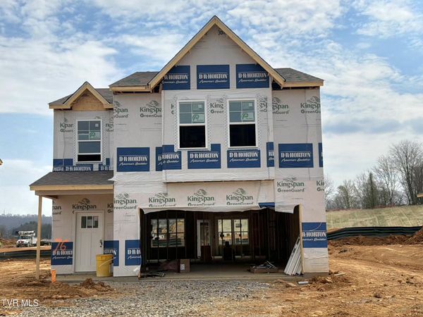 216 Artist Avenue, Johnson City, TN 37615