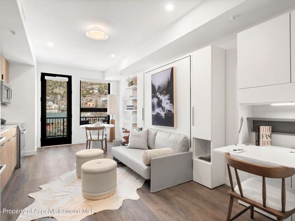 140 Basalt Center Circle, Unit 228, Basalt, CO 81621