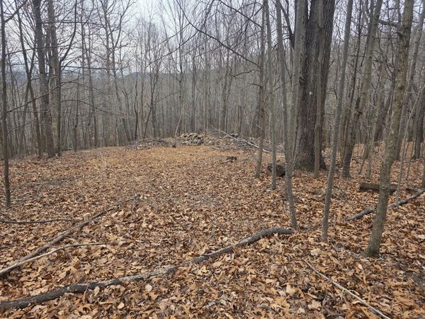 0 Hickory Falls RD, Blue Ridge, VA 24064