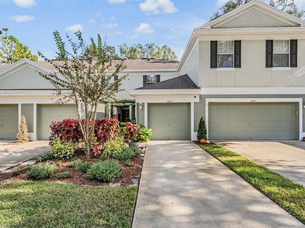 2445 EARLSWOOD COURT, BRANDON, FL 33510
