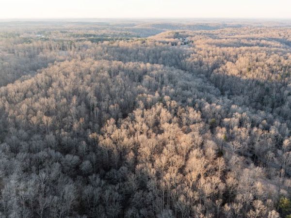 3 Pinewood Road, Nunnelly, TN 37137