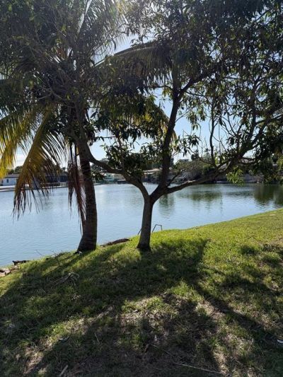 1054-1058 SW 2nd Street, Unit 1056, Hallandale Beach, FL 33009 Photo