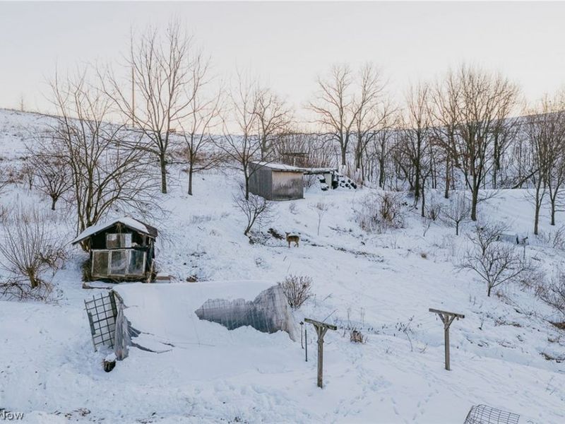 31705 Norris Road, Tippecanoe, OH 44699 Photo 16