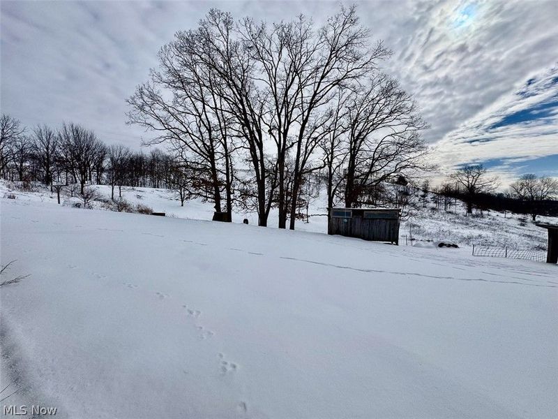 31705 Norris Road, Tippecanoe, OH 44699 Photo 44