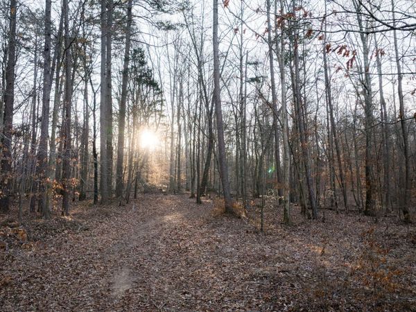 2 Pinewood Road, Nunnelly, TN 37137